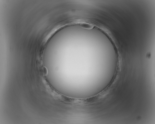 X0000113931097200909250910