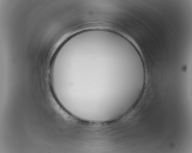 X0000113931099200909250910