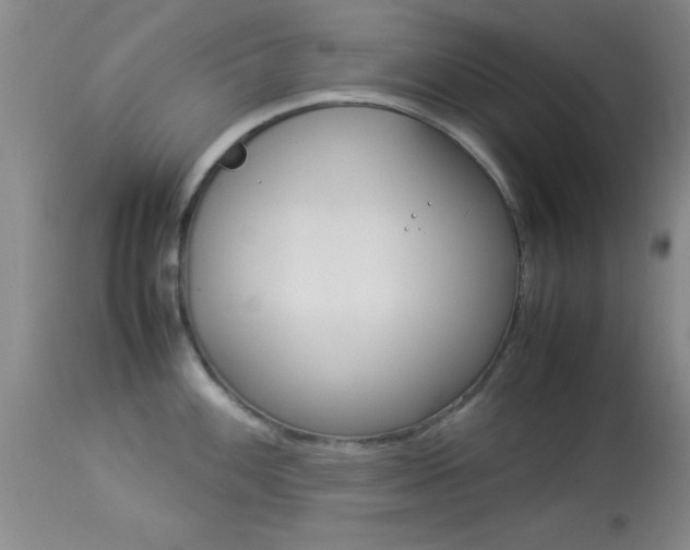 X0000113931100200909250910