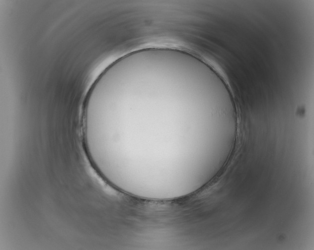 X0000113931103200909250910