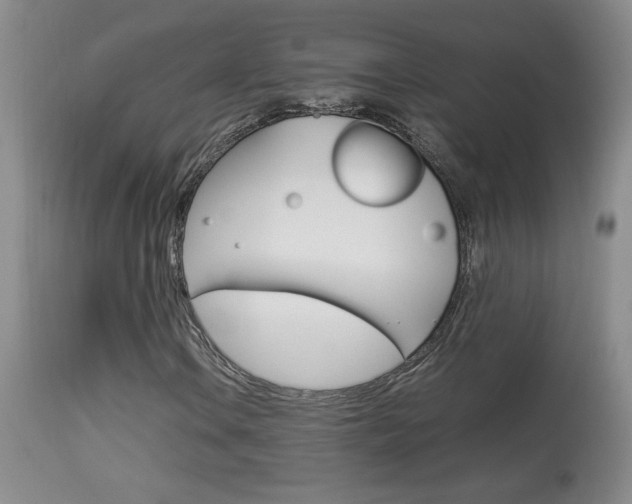 X0000113931106200909250909