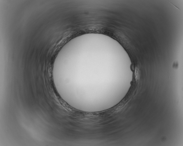 X0000113931107200909250909