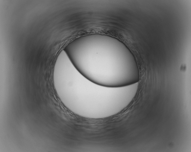 X0000113931109200909250909