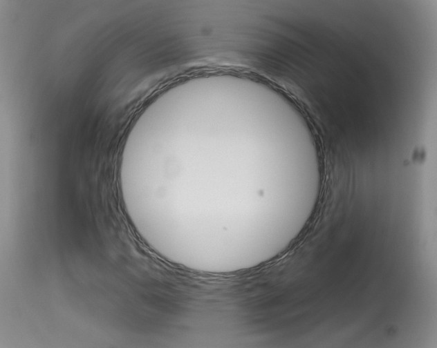 X0000113931110200909250909
