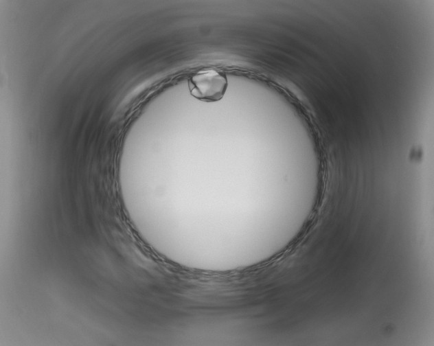 X0000113931112200909250909