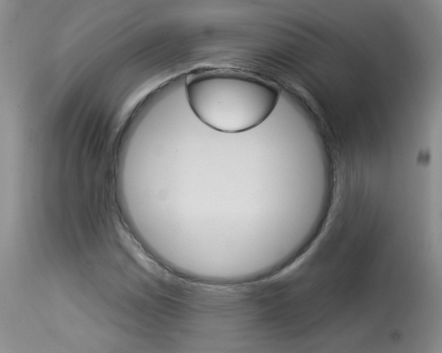 X0000113931114200909250909