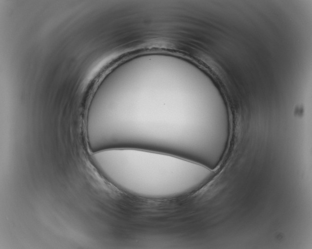X0000113931115200909250909