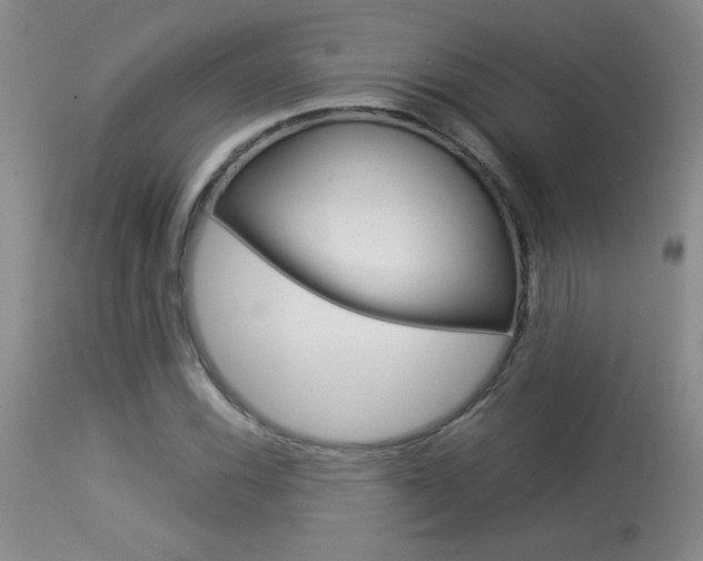 X0000113931116200909250909