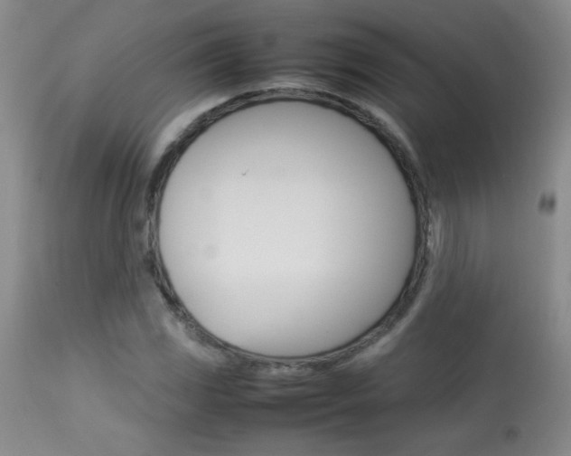 X0000113931117200909250909