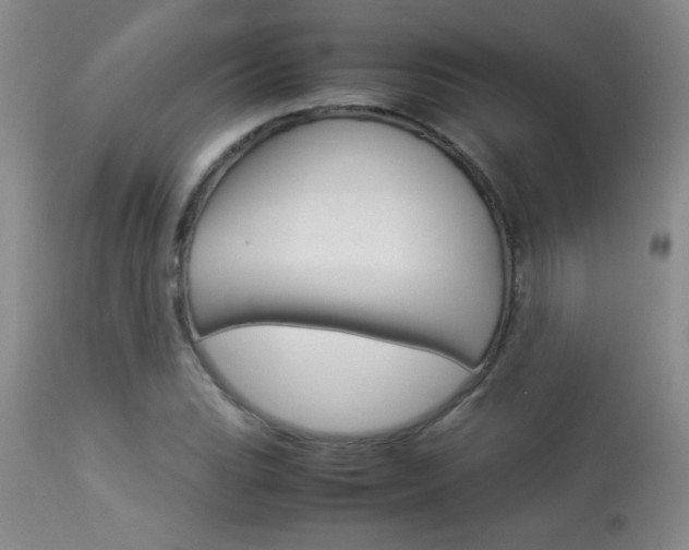X0000113931119200909250909
