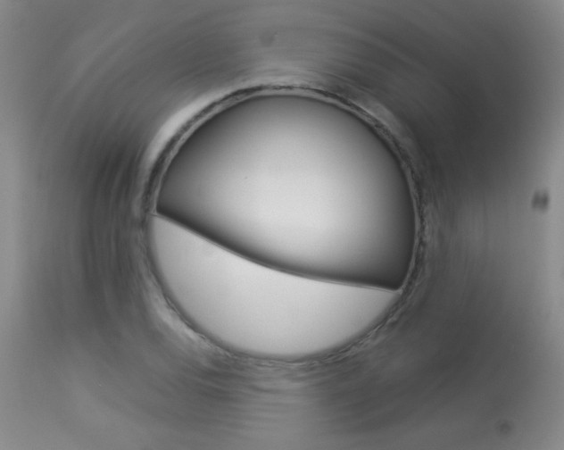 X0000113931120200909250909