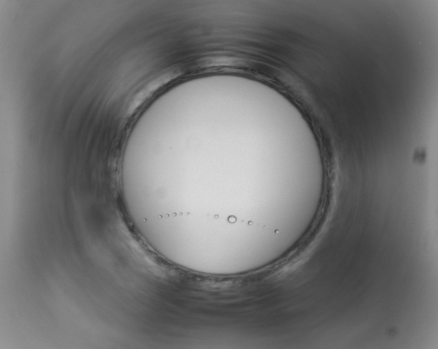 X0000113931121200909250909