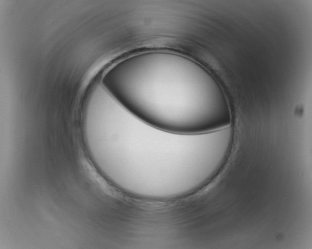 X0000113931122200909250909
