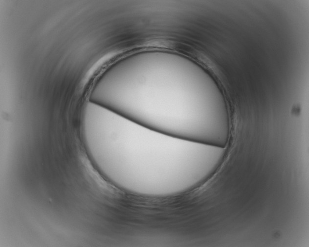 X0000113931123200909250909