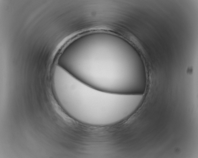 X0000113931124200909250909