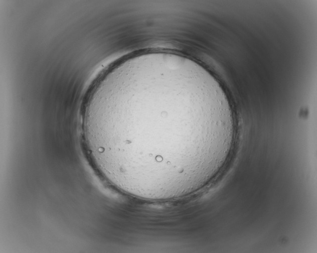 X0000113931125200909250909
