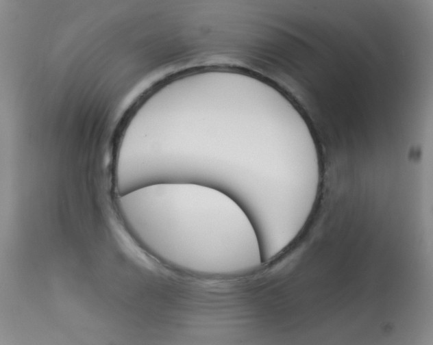 X0000113931126200909250909