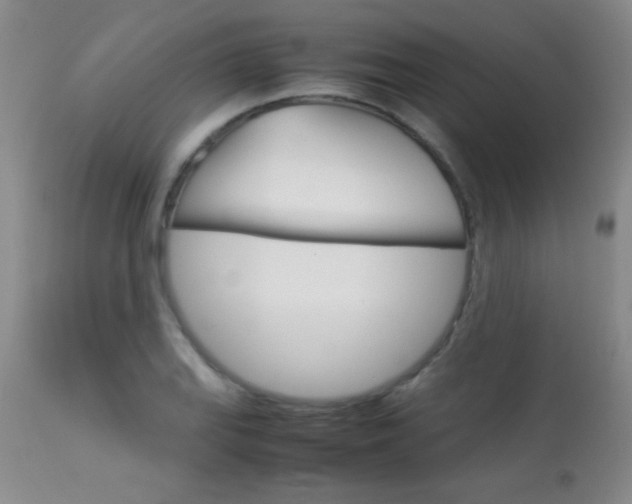 X0000113931127200909250909