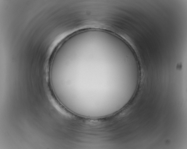 X0000113931128200909250909