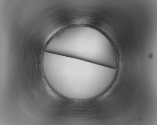 X0000113931129200909250909