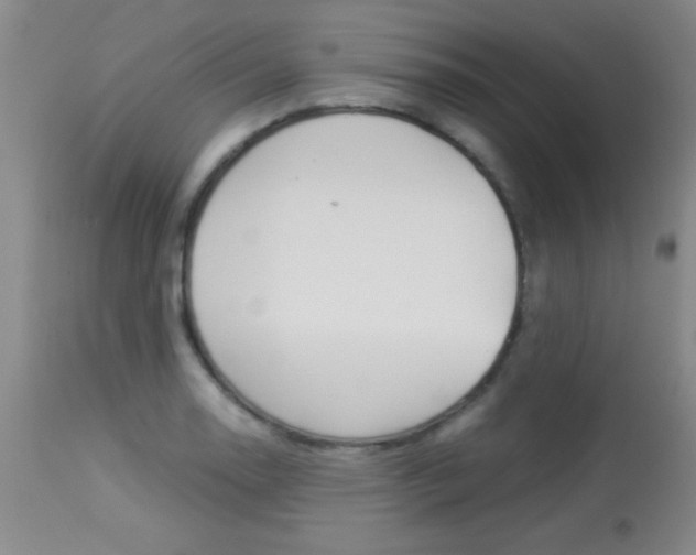 X0000113931130200909250909