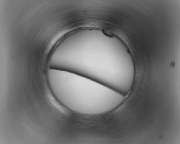 X0000113931131200909250909