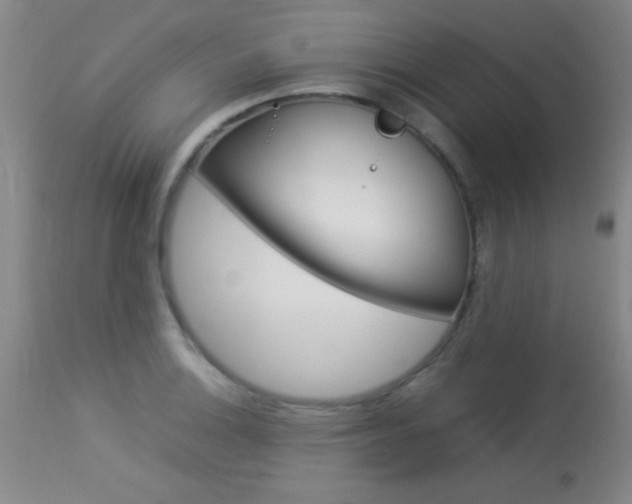X0000113931132200909250909