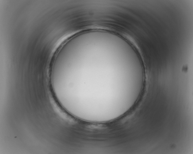 X0000113931133200909250909