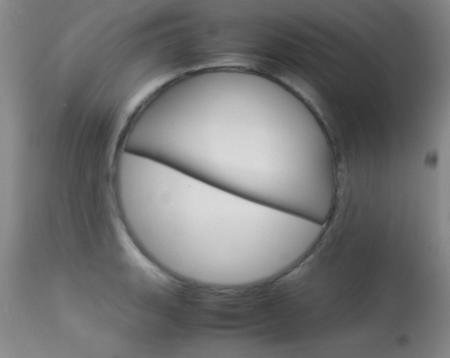 X0000113931135200909250909