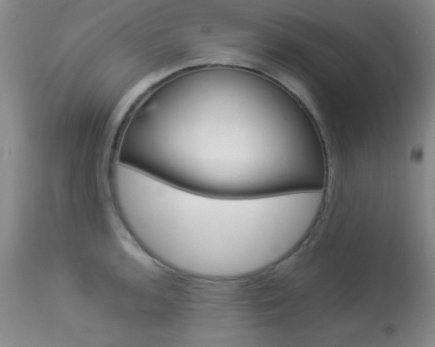 X0000113931136200909250909