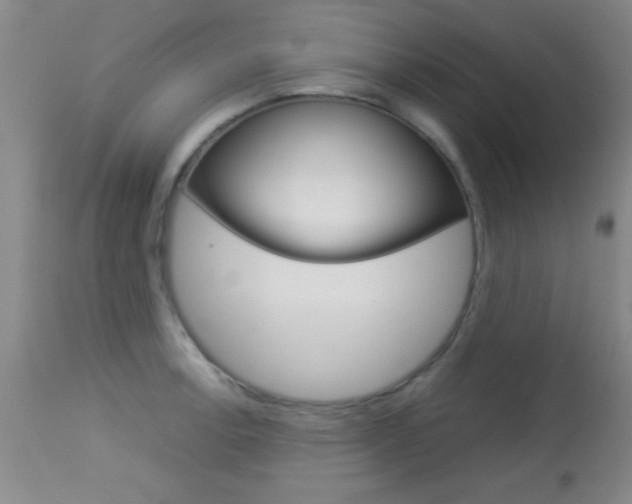 X0000113931138200909250910