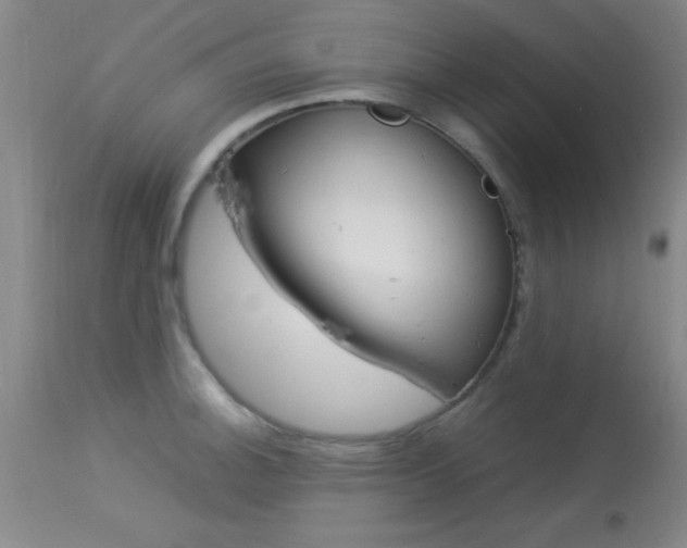 X0000113931140200909250910