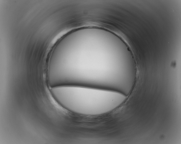 X0000113931143200909250910