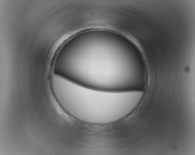 X0000113931144200909250910