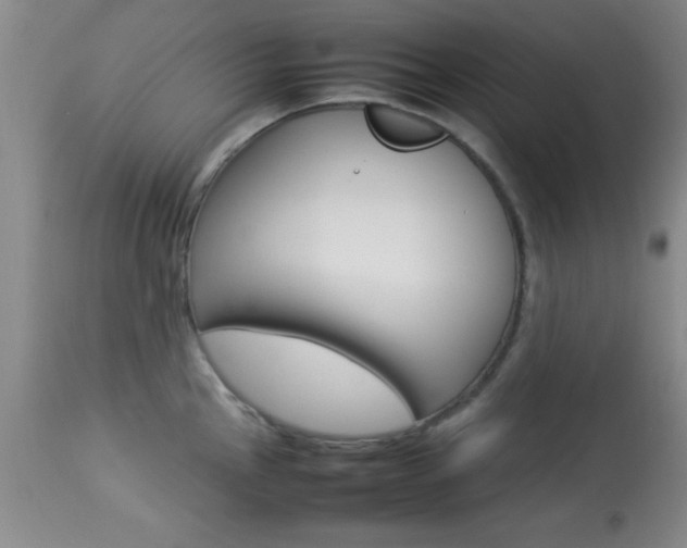 X0000113931145200909250910