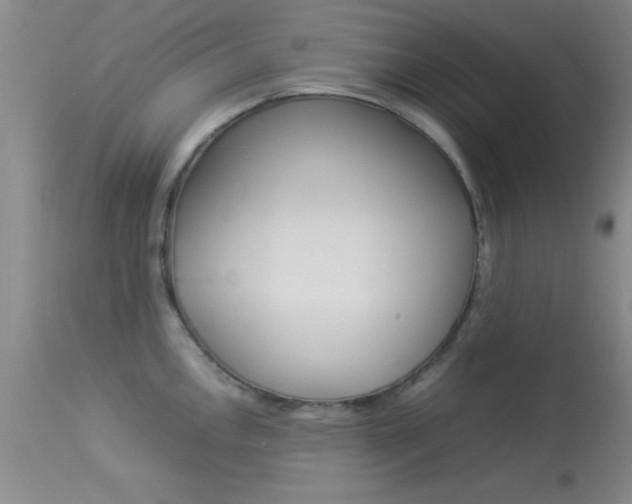 X0000113931146200909250910