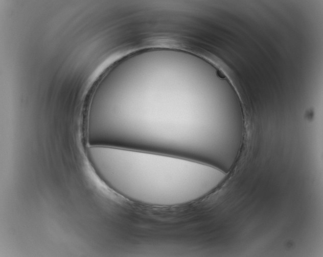 X0000113931147200909250910