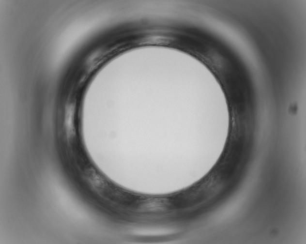 X0000113931150200909250910