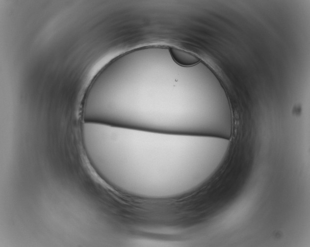 X0000113931151200909250910