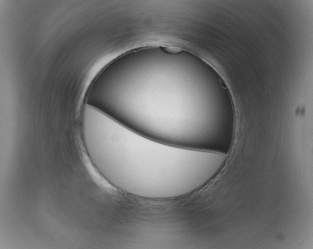 X0000113931152200909250910