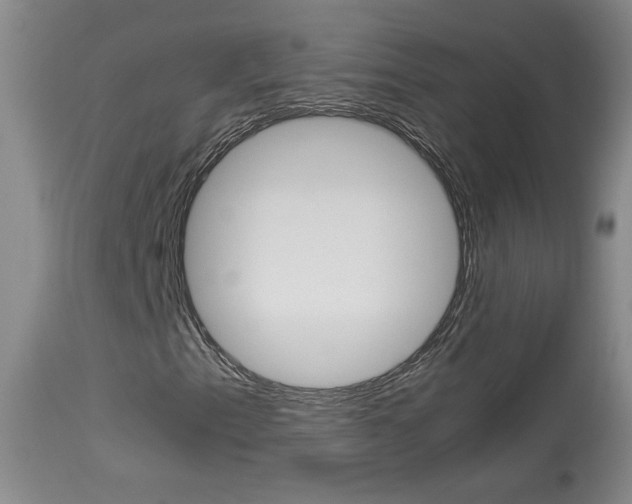 X0000113931153200909250909