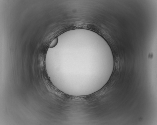 X0000113931154200909250909