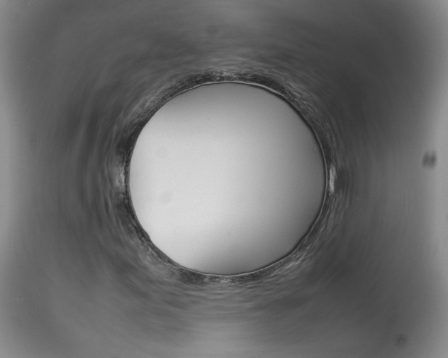 X0000113931155200909250909