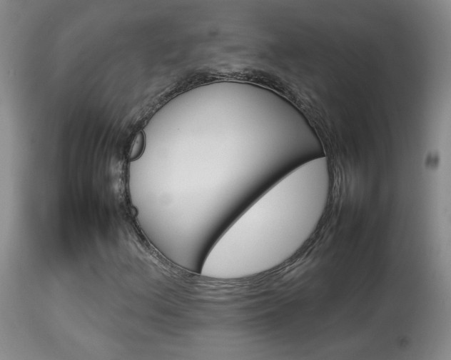 X0000113931156200909250909
