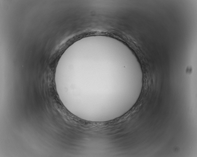 X0000113931158200909250909