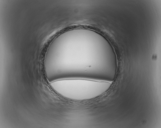 X0000113931159200909250909