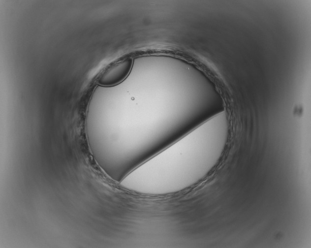 X0000113931160200909250909