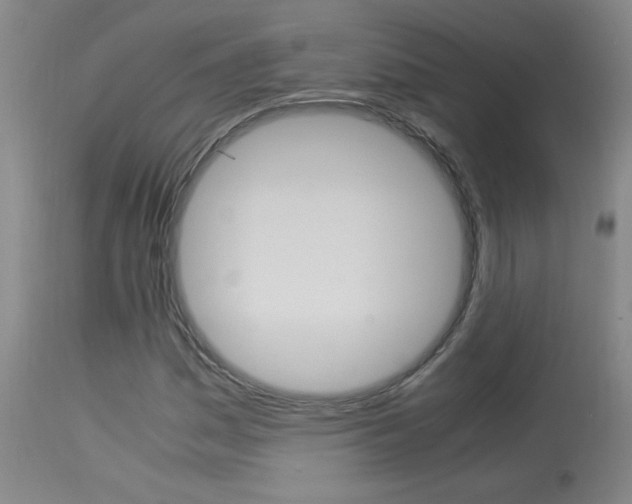 X0000113931161200909250909