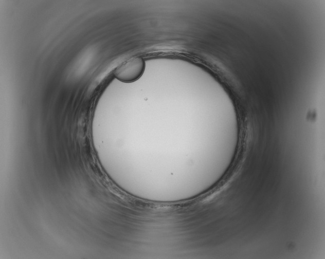 X0000113931162200909250909