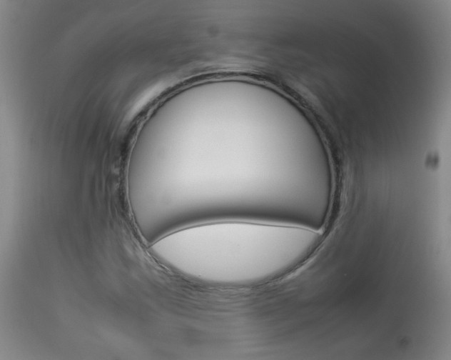 X0000113931163200909250909